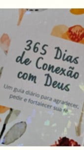 Livro 365 dia de conexao com deus