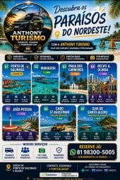 Transfer e Passeios turísticos saindo de Porto de Galinhas