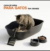 Kit Caixa de Areia para Gatos, Pets com 2 Comedouros + Pazinha