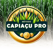 Um curso que visa potencializar a produtividade na pecuária