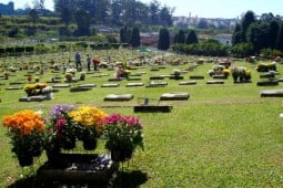 Vendo Jazigo Cemitério Do Carmo Ii