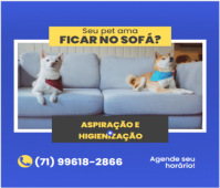 Lavagem a seco em estofados
