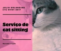 Cat Sitter SP-SP