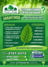 Corte e Poda de Arvore em São Paulo e ABC