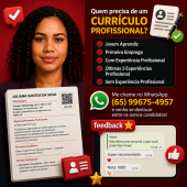 Currículo profissional