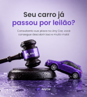  Informações do Veículo