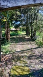 Chácara a venda em cotia 10000 m2