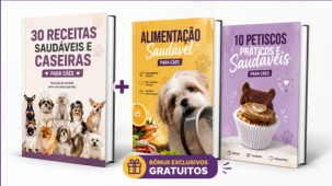 30 Receitas Saudáveis e Caseiras para Cães