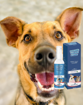 Com Power Clean Spray Seu Pet Livre do Tártaro e Mal Hálito