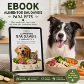 Dicas de alimentos saudáveis para seu pet