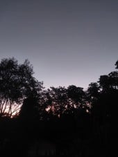 Jardineiro/cuidador de chácara para Ribeirão pires e Rio Grande da Serra