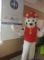 Animação de festa
