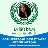 Dedetiza-Ação!