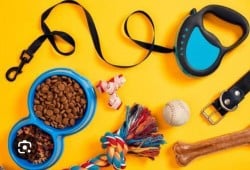 Como cuidar do seu animal com acessórios