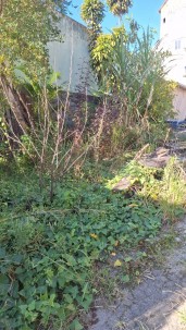Poda de Arvore e Limpeza de terreno na Grande São Paulo e ABC