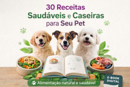 30 Receitas Saudáveis e Caseiras para Seu Pet