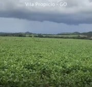 Fazenda Município de Vila Propício GO 2.589,40 Hectares ou 535 Alqueires Goiano.