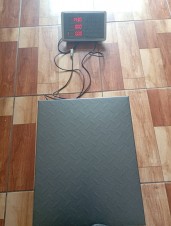 Balança De Plataforma Digital 700kg S/coluna + Garantia a pronta entrega