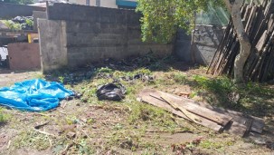 Corte de arvore de Limpeza de terreno em Santo André São Bernardo