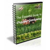 O guia essencial para jardinagem orgânica