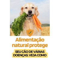 Ebook de receitas naturais para cães