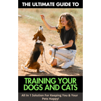 Treine seus cães e gatos