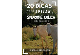 20 dicas para evitar a síndrome cólica em equinos