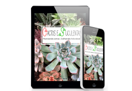 Manual Cactus e Suculentas