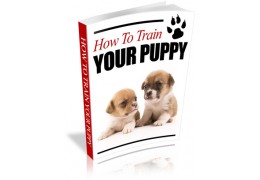 Livro para educa cachorro