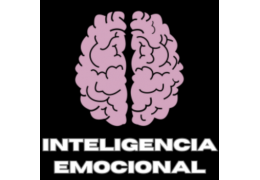 Ebook A Importancia da Inteligencia Emocional