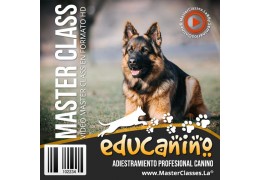 Curso de Adestramento Canino