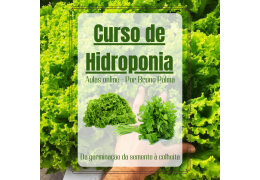 Curso de Hidroponia - Por Bruno Palma