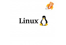 Suporte Técnico Linux