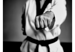 Cwb King Of Fight - Taekwondo