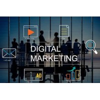 Curso Orgânico Para Marketing Digital