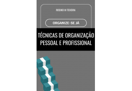 E-BOOK de Técnicas de Organização Pessoal e Profissional