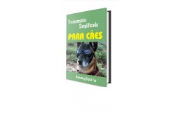 Ebook de treinamento básico para cães para adestradores iniciantes