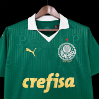 Camiseta Palmeiras 2024/25 Home
