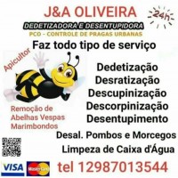 J&A Oliveira dedetizadora e desentupidora 24hrs