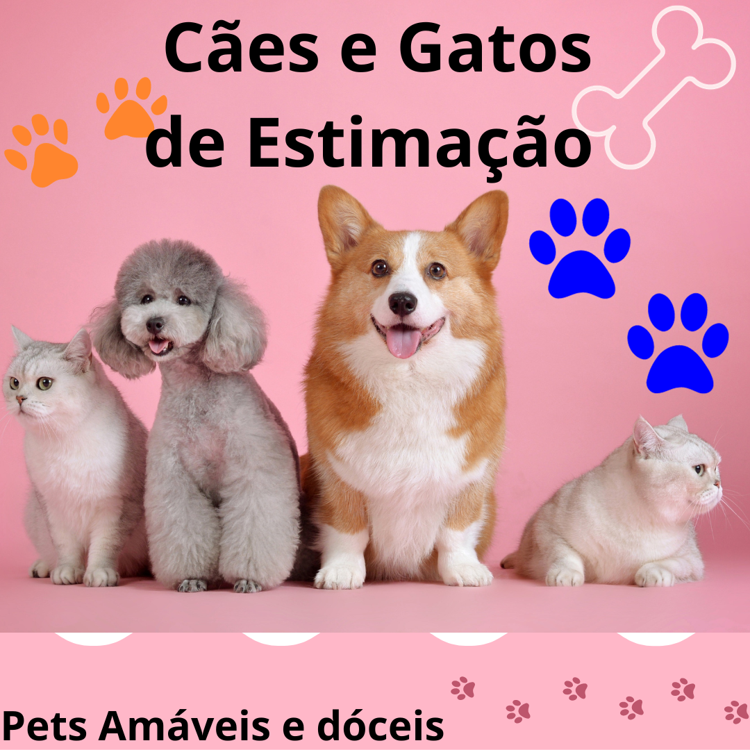 O PDF Definitivo para Cuidar de Cães e Gatos de Estimação