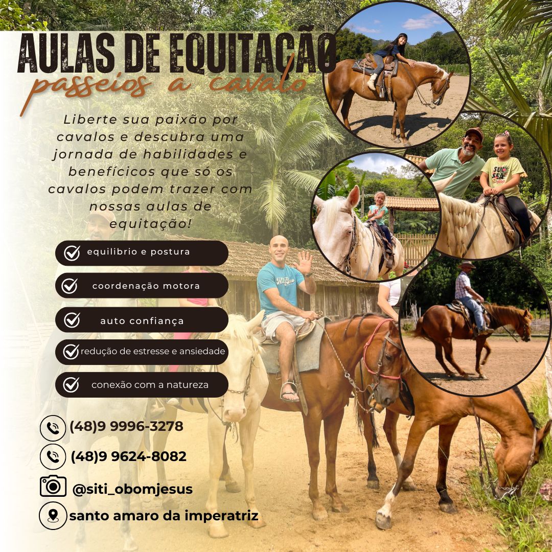 Aulas De Equitação