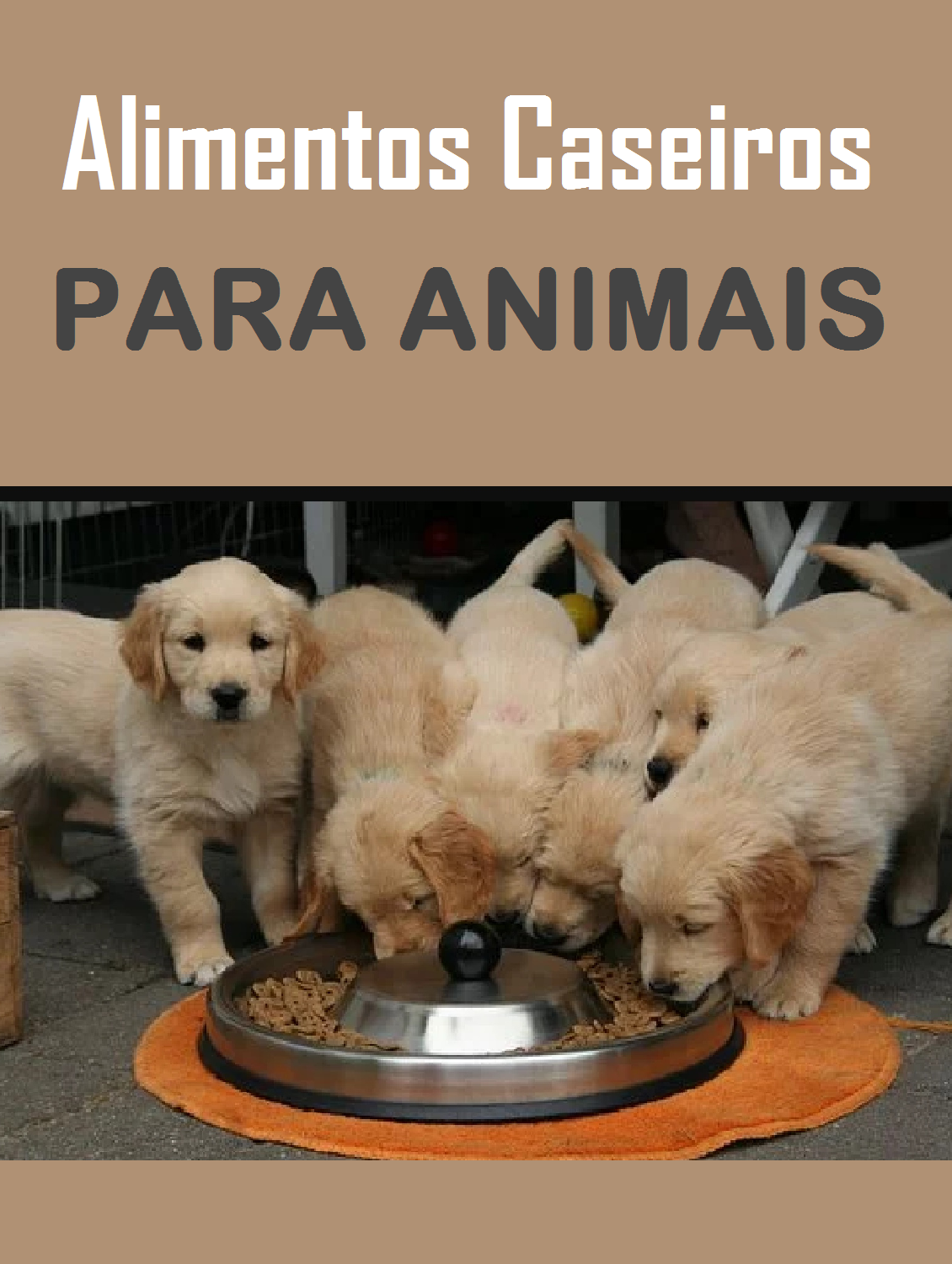 Alimentos Caseiros Para Animais