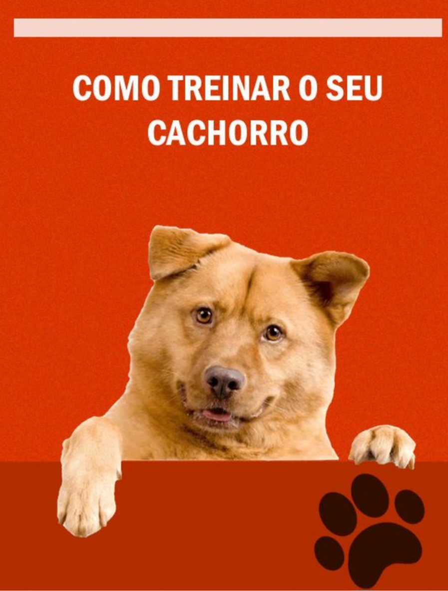 Como treinar o seu cachorro