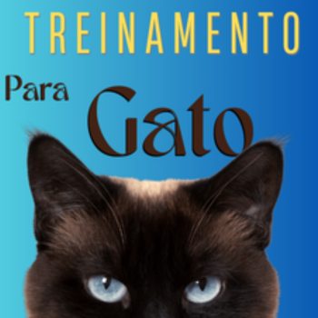 E-Book para treinamento de gato