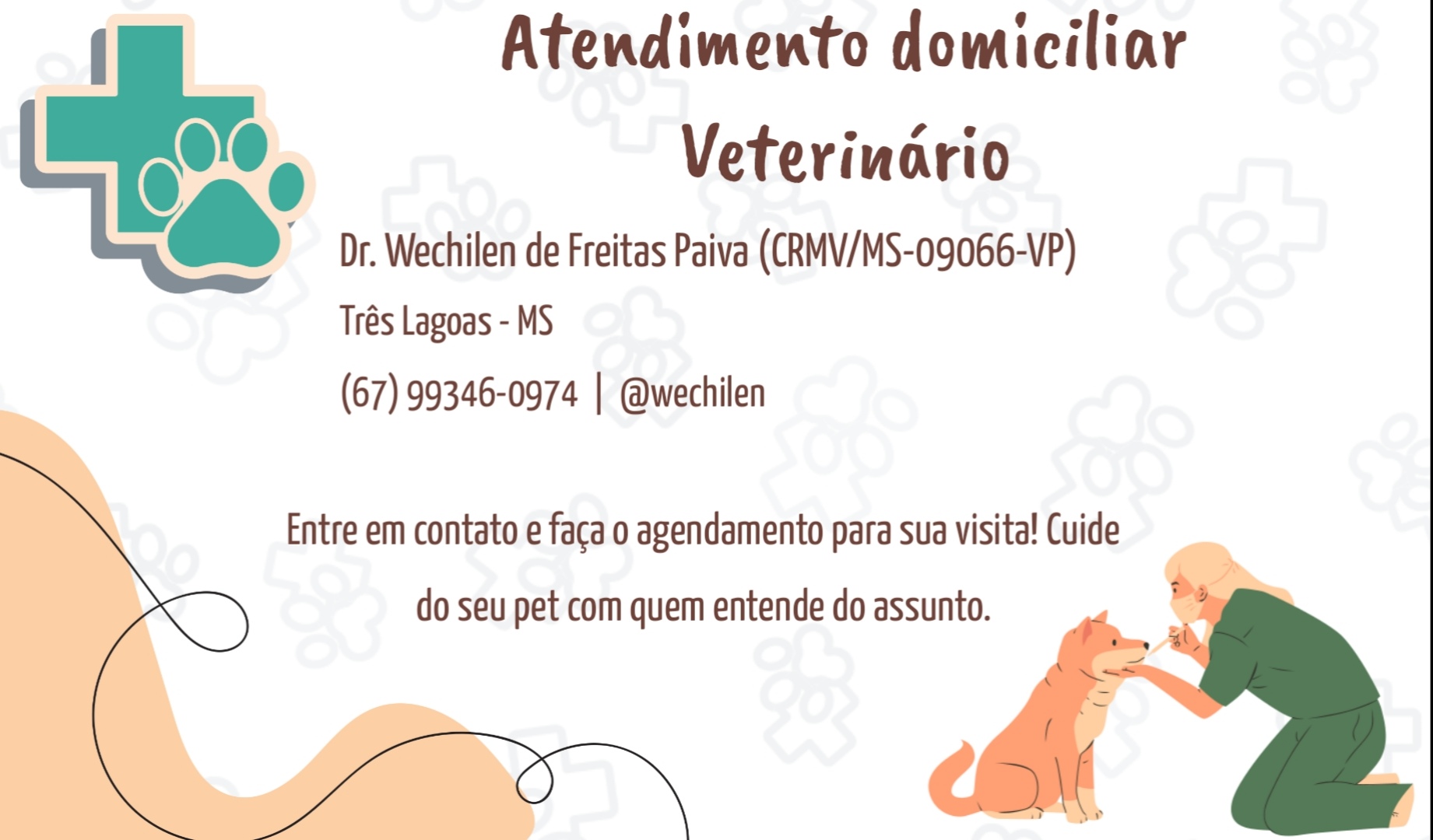 Médico Veterinário a domicílio