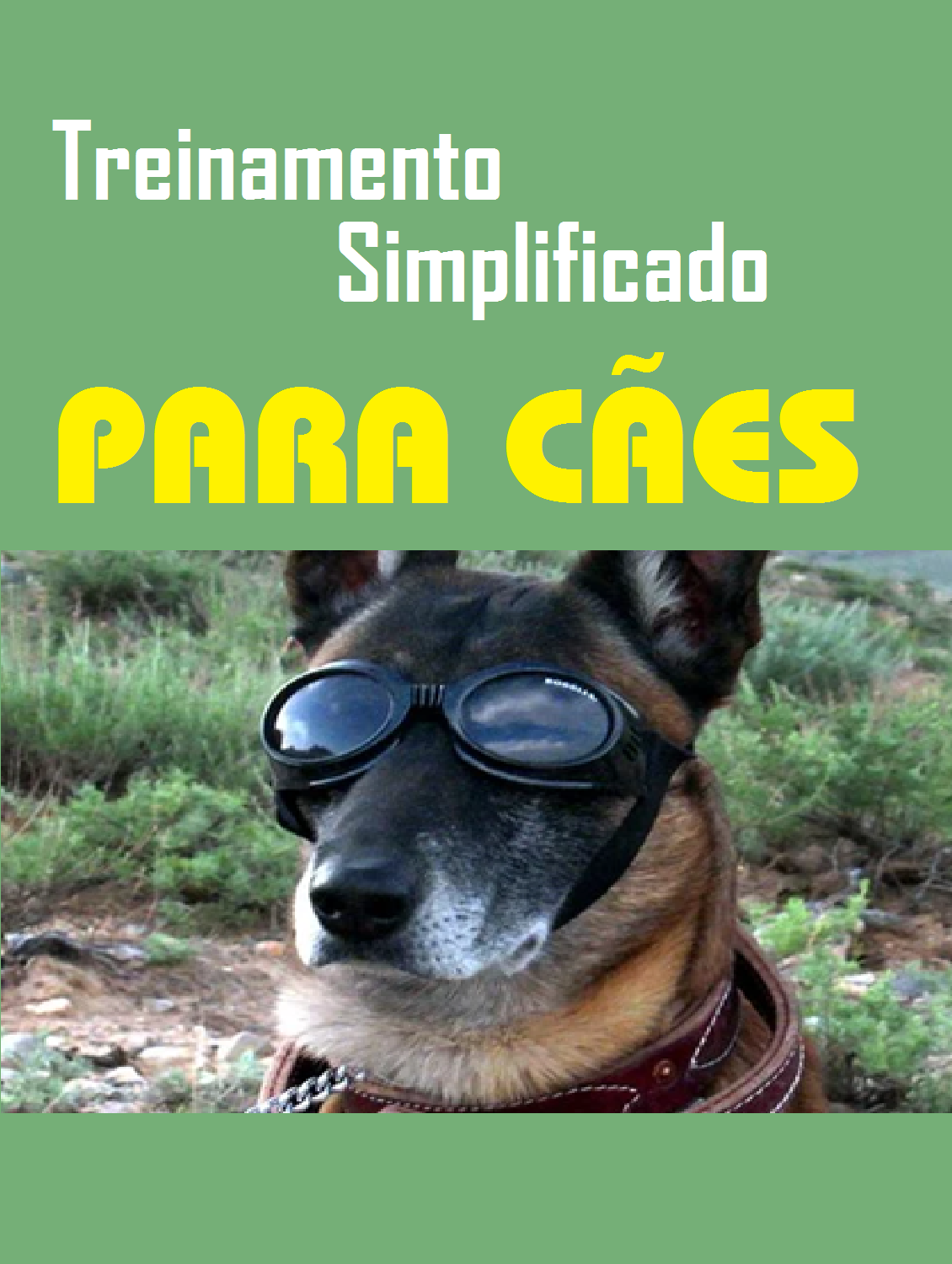 Curso de técnicas para treinar o seu cão