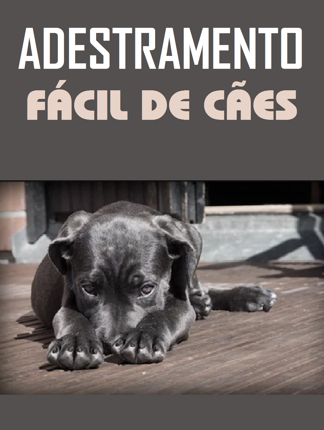 Ebook para adestramento de cães