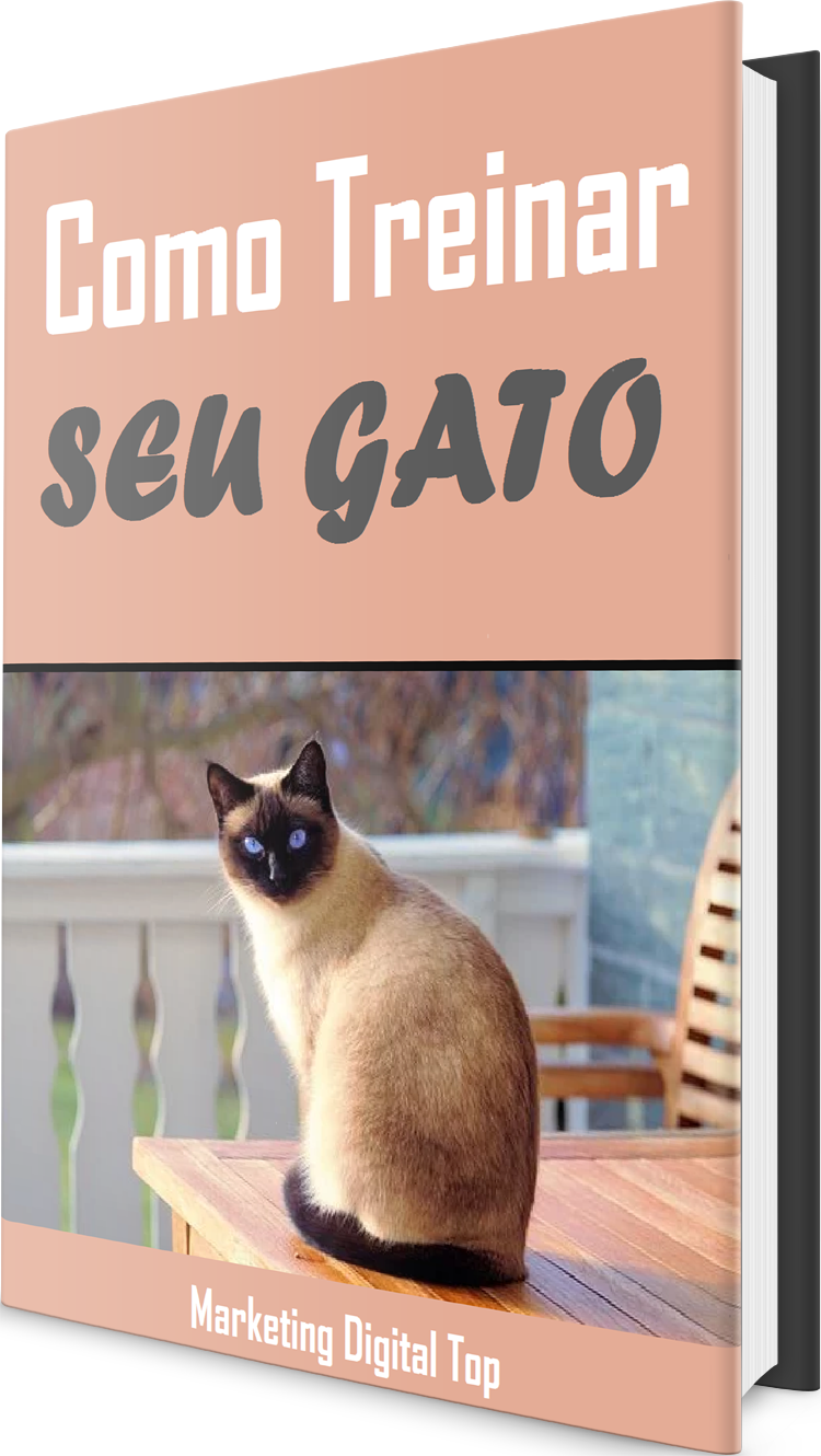 Como treinar o ser gato.