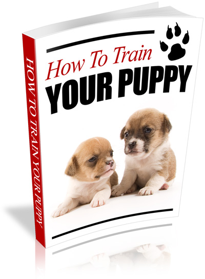 EBook: How to Train Your Puppy