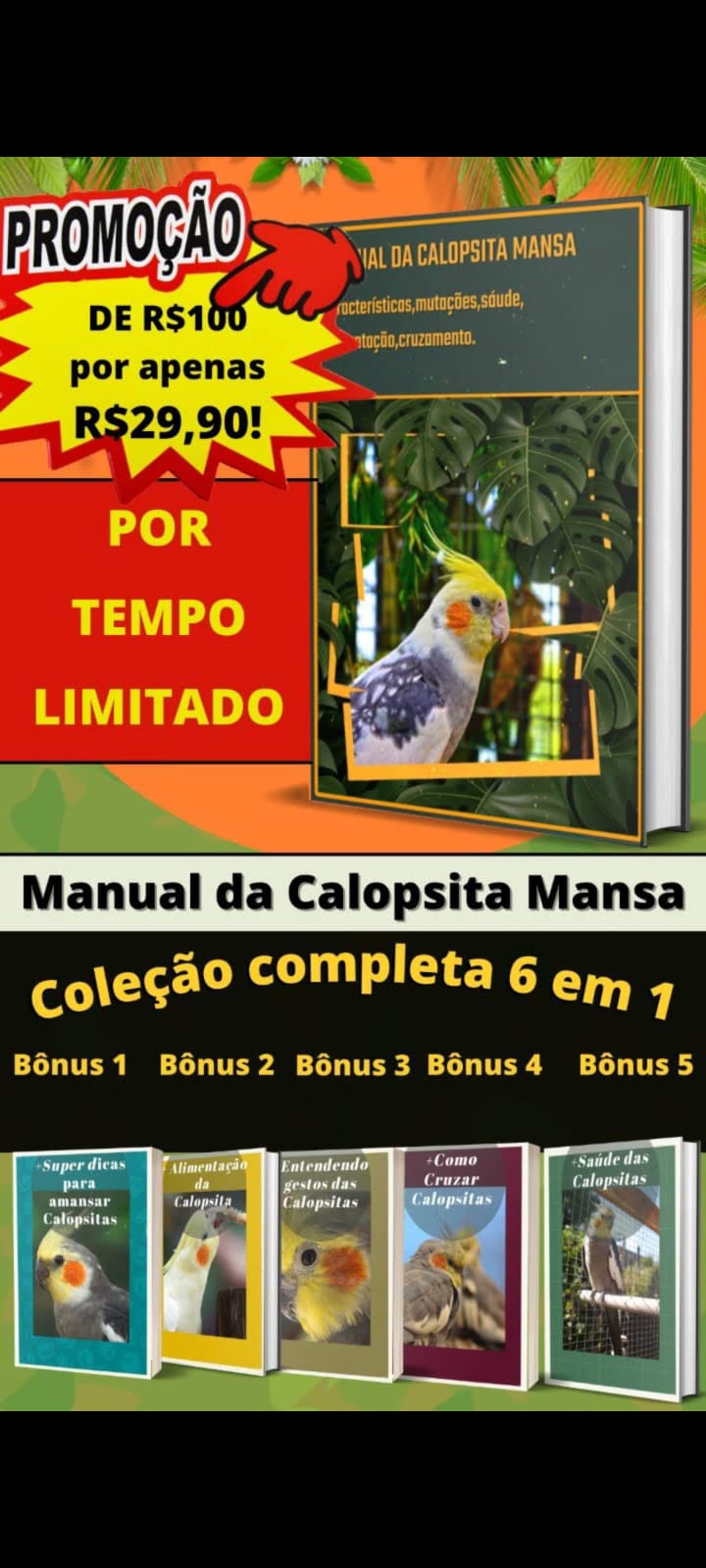 Ebook De Como Cuidar Bem De Sua Calopsita